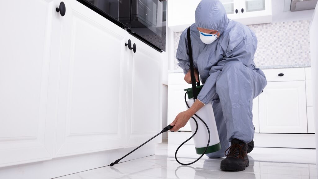 Why is pest control important in hospitals give a reason.